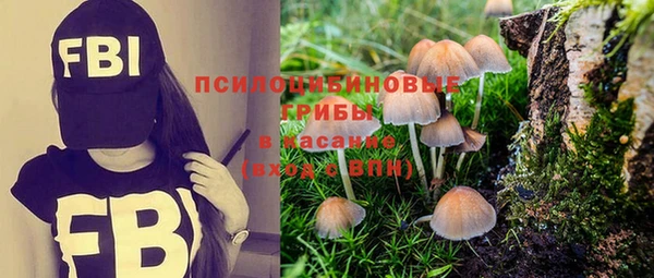PSILOCYBIN Балабаново